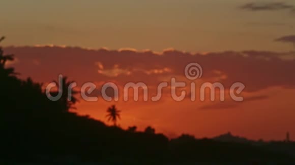 聚焦在红日落日的天空景观与棕榈树的轮廓视频的预览图