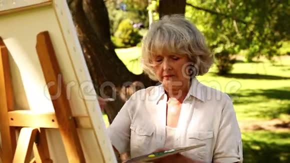 退休妇女在外面画画视频的预览图