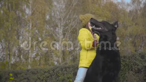 穿着芥末帽和黄色外套的漂亮白人女孩在秋天公园里和狗玩可爱的孩子周末视频的预览图