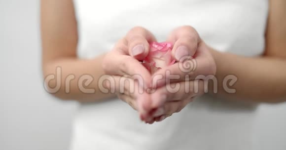在女人手中合上一朵新鲜玫瑰视频的预览图