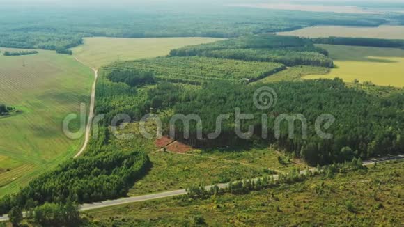 白俄罗斯松林墓地鸟瞰绿色森林景观无人机视野鸟的视野视频的预览图