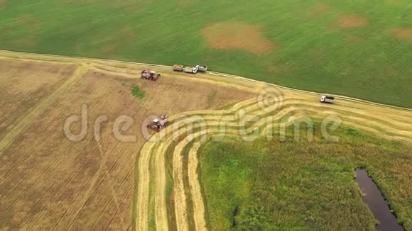 乡村景观鸟瞰图联合收割机在田间工作收集种子夏末小麦的收获视频的预览图