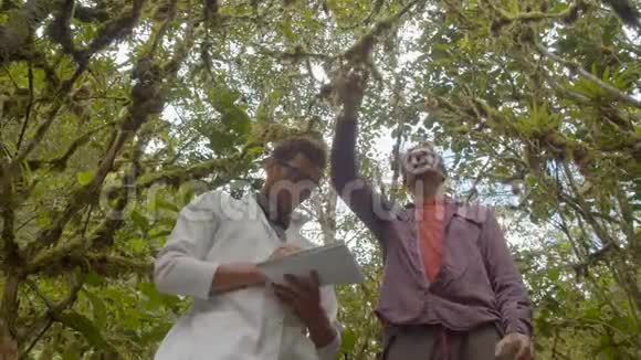 生物学老师带着他的学生去取森林中一种植物的样本视频的预览图