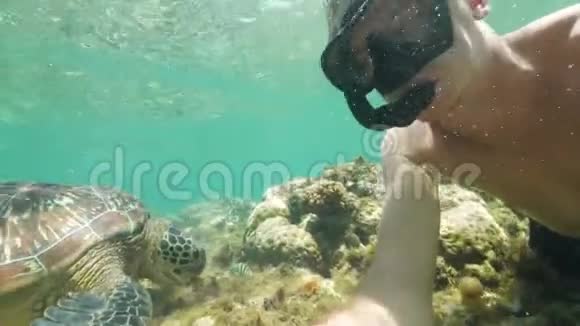年轻人用海龟拍摄自拍视频同时用面具和管子浮潜拍水下照片的年轻女子视频的预览图
