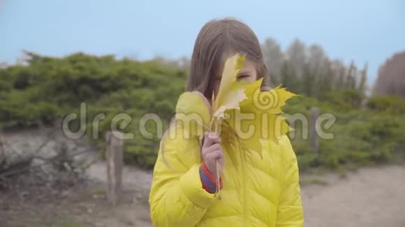 漂亮的白人女孩棕色的眼睛穿着黄色的外套把脸藏在黄色的叶子后面一幅可爱的肖像视频的预览图