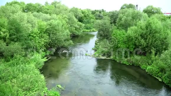 有小河和绿树的夏季景观视频的预览图