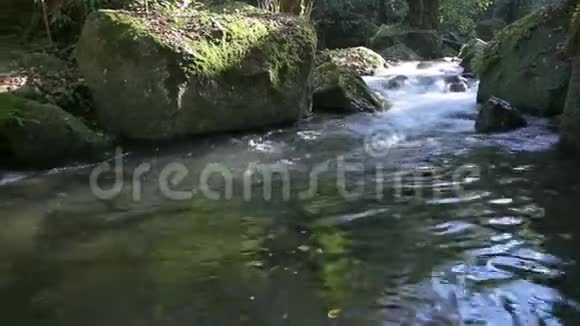 水流在小溪里小溪里的小瀑布河水里的水很快视频的预览图