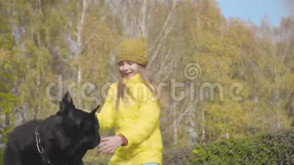 快乐可爱的白人女孩穿着黄色外套在户外和黑狗玩耍漂亮的大伯曼在他身边转视频的预览图