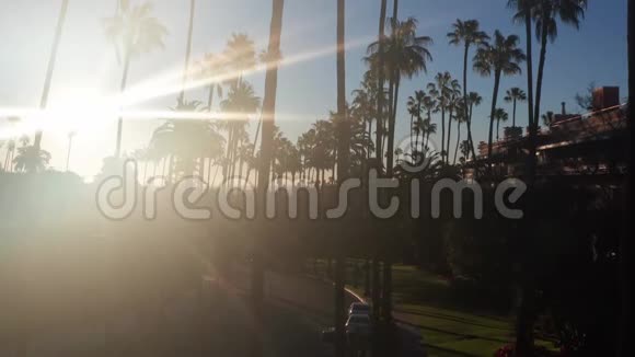 美丽的街道与棕榈花和路灯在贝弗利山加利福尼亚州视频的预览图
