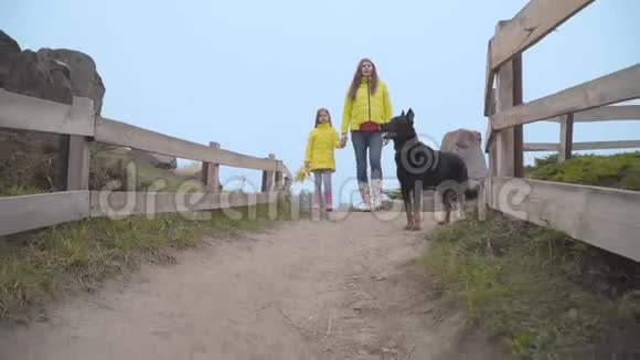 年轻的怀孕妈妈和她的小女儿穿着类似的黄色外套和一个黑色的大德伯曼沿着栅栏走着视频的预览图