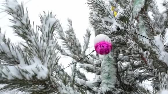 节日装饰挂在白雪覆盖的圣诞树树枝上它矗立在街道上新年快乐视频的预览图