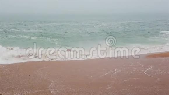 浓雾中的海沙滩秋日视频的预览图