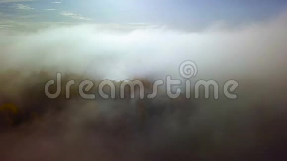 在浓雾中飞向沼泽视频的预览图