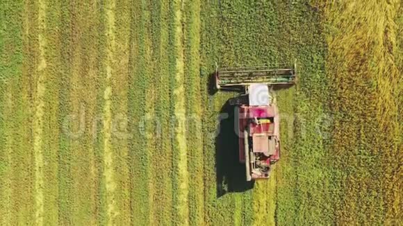 鸟瞰乡村景观联合收割机在田间工作收集种子夏末收获小麦视频的预览图