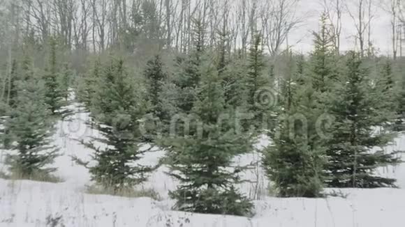 在美丽的灰色冬季景观上下雪视频的预览图