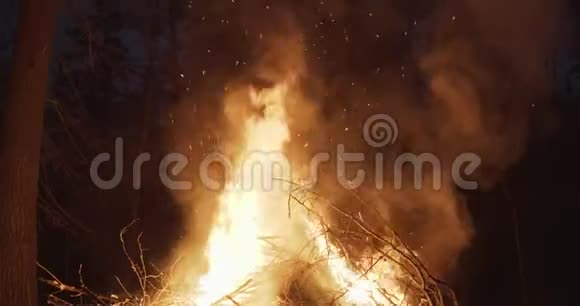 镜头从森林篝火向天空倾斜火花在空中升起视频的预览图