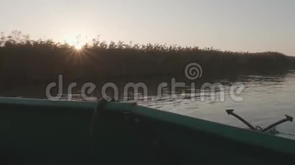 从漂浮的摩托艇上看到日出时的水和芦苇背光和阳光束视频的预览图