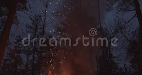 从森林里的篝火上飘起的火花视频的预览图