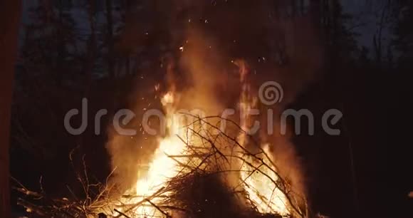 镜头从森林篝火向天空倾斜火花在空中升起视频的预览图
