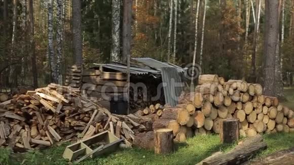 农场院子里的一大堆圆形和切碎的木柴特写视频的预览图