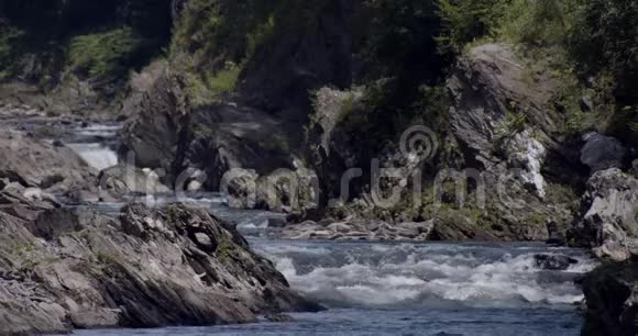 河流流经峡谷穿过岩石和森林树木视频的预览图