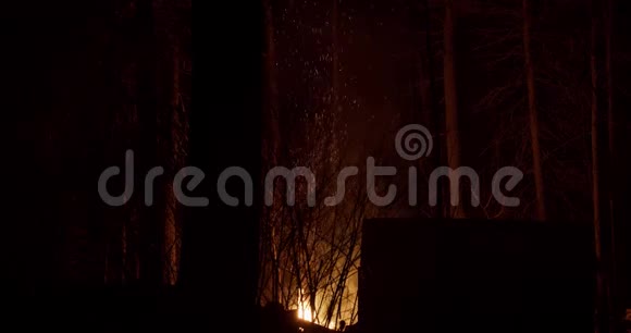 在遥远的冬林中燃烧着一大堆篝火视频的预览图