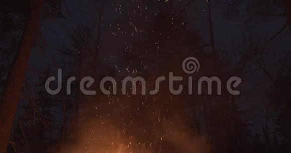 火焰和火花从森林篝火向上舞蹈因为他们漂浮在空中视频的预览图