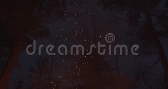 森林中的火花在空中飘荡篝火向上飞舞视频的预览图
