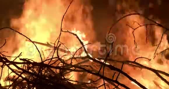 森林大火中燃烧物质的特写细节视频的预览图