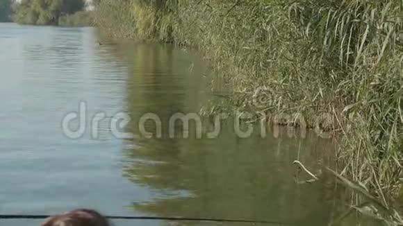 在水面芦苇反射的河边钓鱼下午聚焦视角视频的预览图
