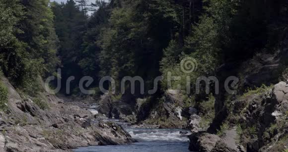 河流流经峡谷穿过岩石和森林树木视频的预览图