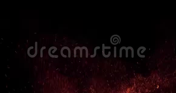 黑色漂浮在空气中的大火中的粒子火花爆炸视频的预览图