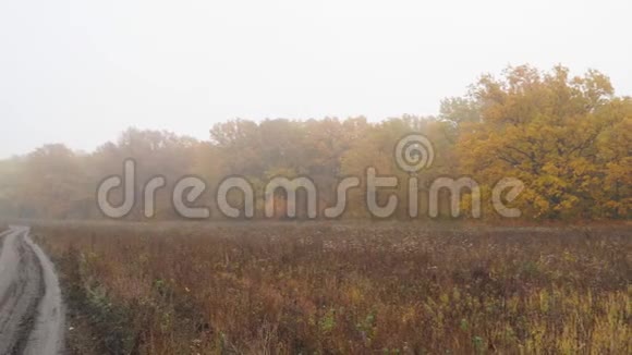 深秋有雾的风景视频的预览图