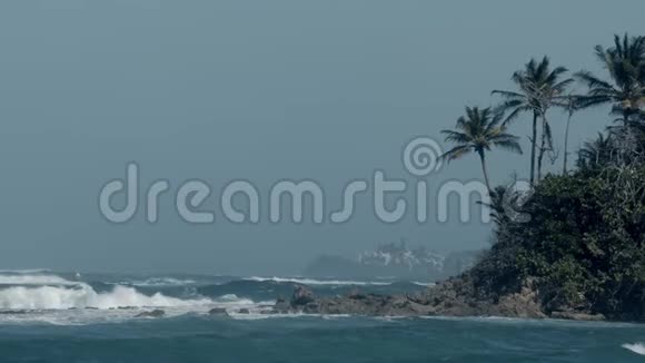 海浪拍打在岩石海岸的棕榈树视频的预览图