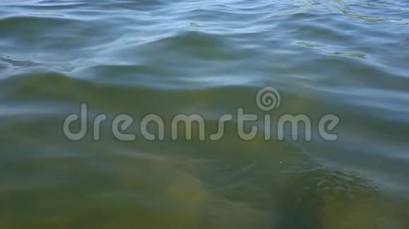 波浪在浅水湖上在绿松石水面上缓慢运动的运行波纹惊人的自然放松质感视频的预览图