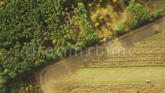 乡村景观鸟瞰图结合收割机和拖拉机在玉米地工作收集干玉米植物视频的预览图