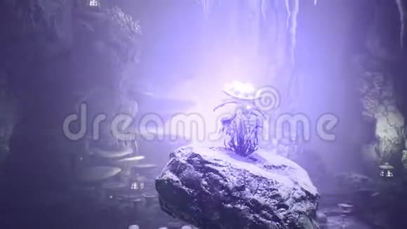 神奇的绿色蘑菇和神奇的蓝色花在一个惊人的洞穴奇幻洞穴里美丽的魔法蘑菇视频的预览图
