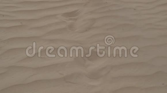 一个光着脚穿着白色连衣裙的黑发女人沿着沙漠沙走慢动作视频的预览图