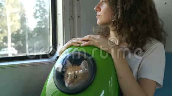 一个年轻的女人带着一只红猫在一个带窗户的背包里坐火车看着窗外视频的预览图