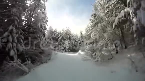第一人称POV动作镜头在美妙寒冷的冬林中在白雪覆盖的松树之间的道路上快速移动视频的预览图