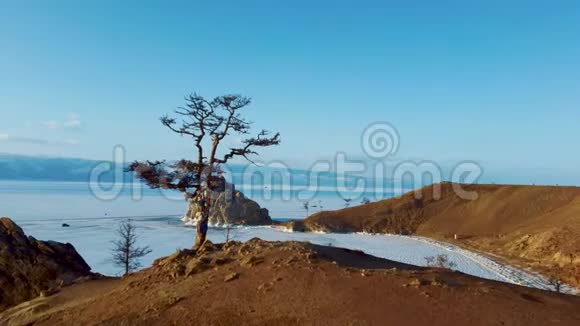 西伯利亚奥克洪岛冬季贝加尔湖的美丽自然巨大的冰湖岩石山脉视频的预览图