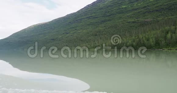 挪威诺德兰县欧洲斯瓦尔蒂森冰川附近的斯瓦尔蒂瓦特涅湖和森林景观视频的预览图