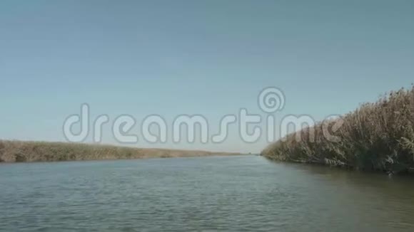 镜头向前移过水的海岸覆盖着干燥的芦苇秋天的景色视频的预览图