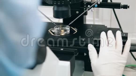 显微镜在研究过程中受到调节试管婴儿体外受精过程在实验室举行视频的预览图