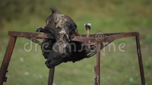 整只羊在农场院子里的火上烤基督教的牺牲比喻耶稣基督像羔羊视频的预览图