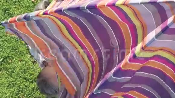 太阳折叠伞视频的预览图