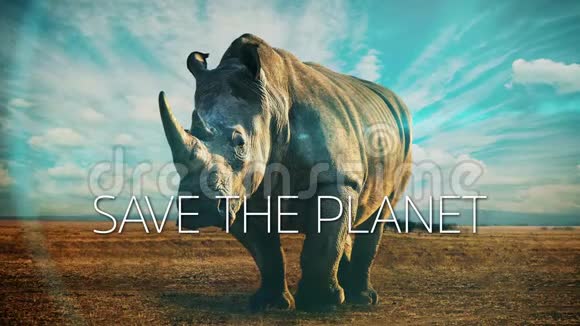 拯救非洲犀牛星球视频的预览图