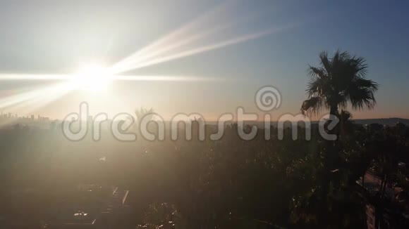 棕榈和太阳壮观的起重机视频洛杉矶附近俯瞰市中心和好莱坞视频的预览图