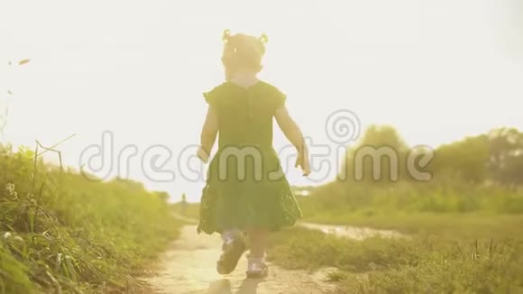 在阳光明媚的夏日傍晚好奇的女婴沿着田园小径散步视频的预览图