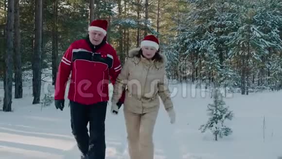 一对恋爱中的情侣在圣诞假期的雪林散步快乐的男人和女人在冬天的雪林里散步视频的预览图